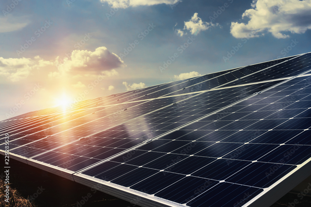 paneles solares.jpeg